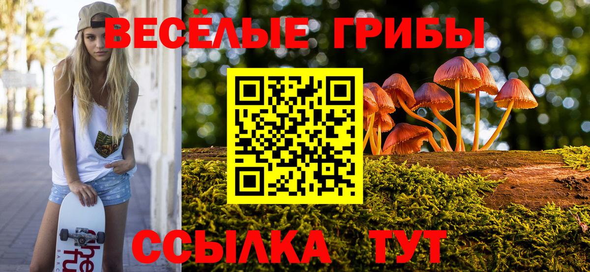 Псилоцибиновые грибы прущие грибы  наркота  Вход с VPN  Дзержинский  Галлюциногенные грибы мухоморы 