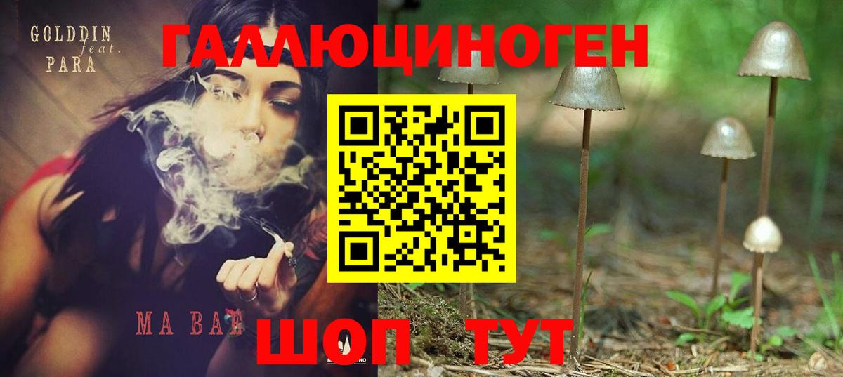 Псилоцибиновые грибы прущие грибы Дзержинский